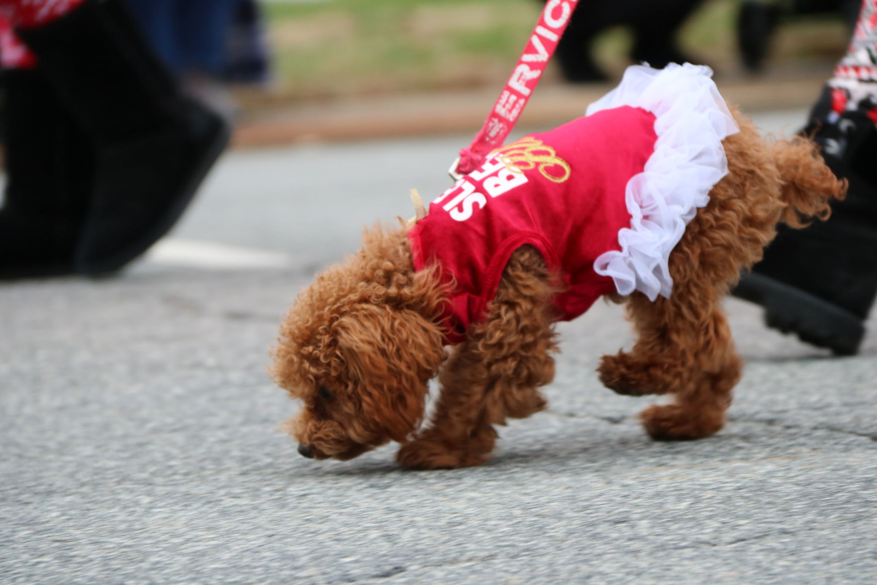 J. Iverson Riddle Christmas Parade 2018 (271).JPG